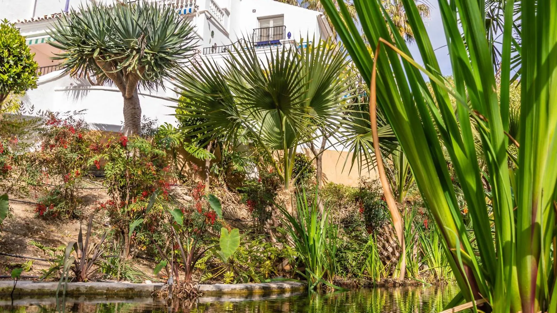Tetuan 40 Oasis Properties Nerja 0*,  Spain
