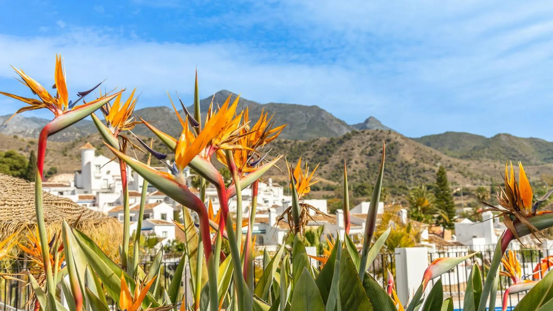 Tetuan 40 Oasis Properties Nerja Spain