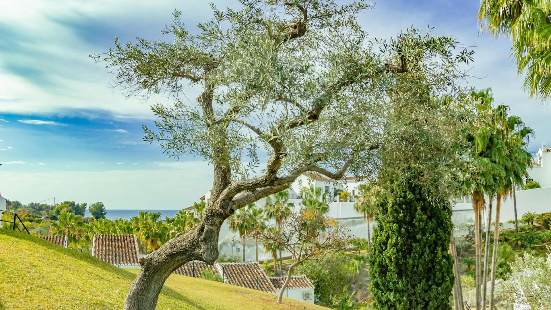 Holiday home Tetuan 40 Oasis Properties Nerja